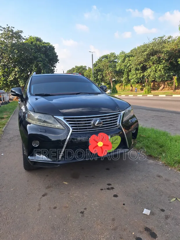 Lexus RX 2010 Black - 1