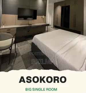Studio Apartment Shortlet in Asokoro, Abuja