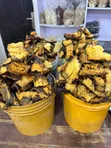 Clean Dry Fish - No Sand | Cartons Available Onitsha - 3