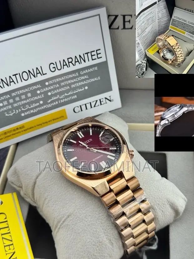 Citizen Mechanical Wristwatch - 1