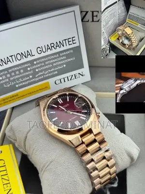 Citizen Mechanical Wristwatch