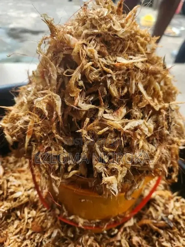 Oron Crayfish - Mai Tsarki, Babu Yashi | Siyarwa da Rarrabawa a Onitsha - 1