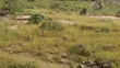 2150.80 sqm Residential Land for Sale in Wawa - 1