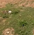 2150.80 sqm Residential Land for Sale in Wawa - 2