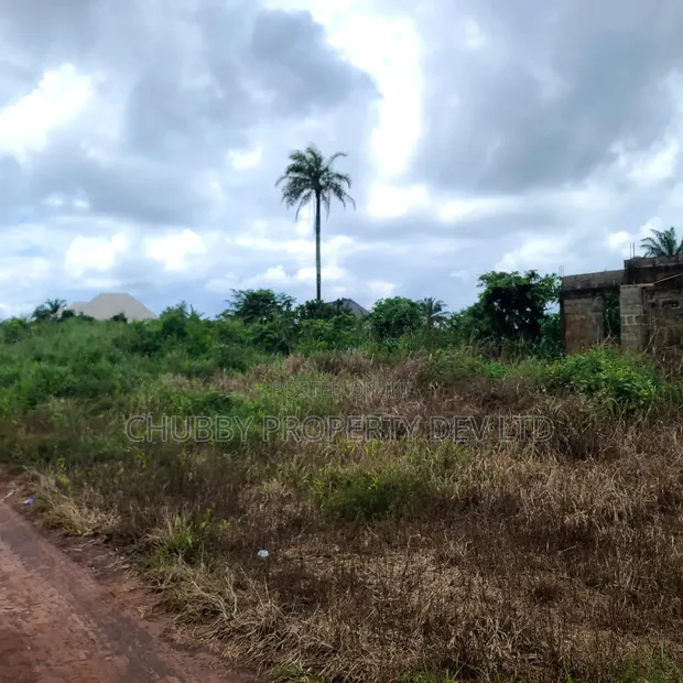 Filin Gida don Siyarwa, Bishop Nwedo Estate - 1