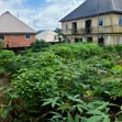 Filin Gida don Siyarwa, Bishop Nwedo Estate - 3