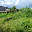 5-Bedroom Ginin Bungalow Mara Kammalawa a Umuahia - 1