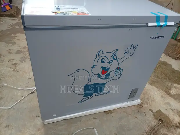 Skyrun BD-250AI 200L Inverter Deep Freezer - Brand New - 1