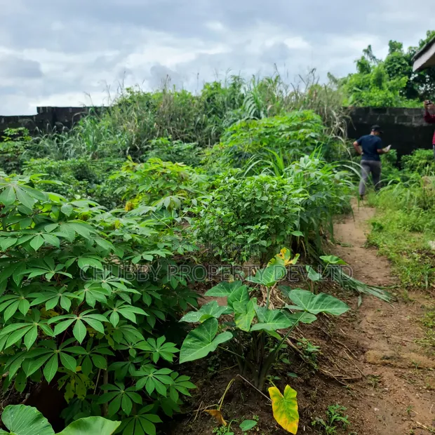 Plot of Land for Sale in Umueze, Umuahia - 1