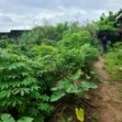 Plot of Land for Sale in Umueze, Umuahia - 1