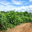 Plot of Land for Sale in Umueze, Umuahia - 2