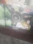 OX Giant 60" Fan na Rufi - 1