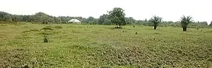 Cikakken Filin Ƙasa Mai Bushewa a Wawa Bus Stop, Lagos-Ibadan Expressway