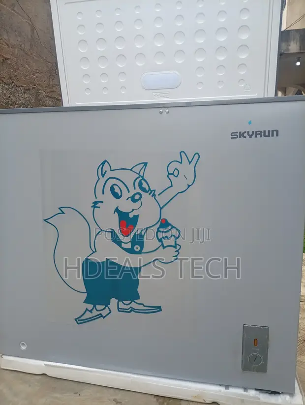 Skyrun BD-250AI 200L Inverter Chest Freezer - Sabon Abu - 1