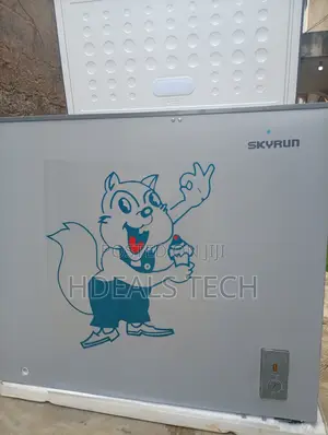 Skyrun BD-250AI 200L Inverter Chest Freezer - Sabon Abu