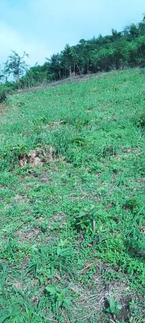 Filin Dawa Don Siyarwa a Abaiyamedi, Ado Ekiti - 1