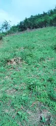 Filin Dawa Don Siyarwa a Abaiyamedi, Ado Ekiti - 1