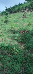 Filin Dawa Don Siyarwa a Abaiyamedi, Ado Ekiti - 2