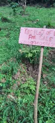 Filin Dawa Don Siyarwa a Abaiyamedi, Ado Ekiti - 3