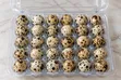 Farm-Fresh Quail Eggs (30 pcs) - 2