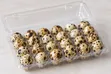 Farm-Fresh Quail Eggs (30 pcs) - 3