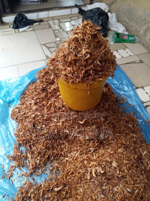 Fresh Oron Crayfish - 1