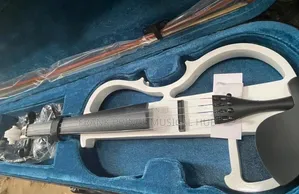 Full-Size 4/4 Electric Violin Set tare da Hard Case