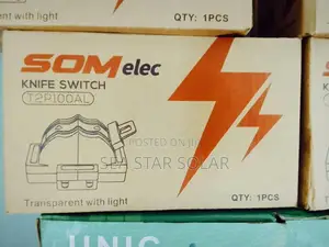 Socomec T2P100AL Knife Switch