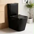 2-Piece Toilet Seat - Baki/Farin - 1