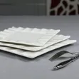 Luxury 10" Ceramic White Dinner Plates (30pcs/ctn) - 3