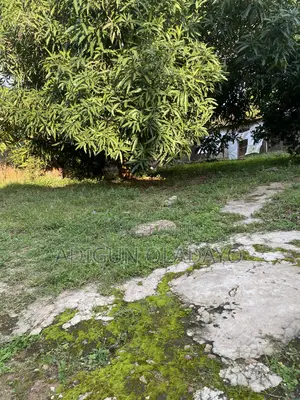 Rabin Rabin Plot na Kasa don Siyarwa a Basorun, Ibadan