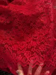 Chizzy Diamond Quality Wine Red Senators Lace - 5 Yards - 1