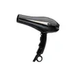 Green Lion Professional Hair Dryer 2000W - 2