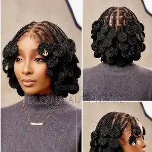 Full Lace Braided Wig