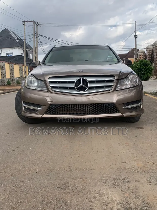 Mercedes-Benz C300 2009 Grey - 1