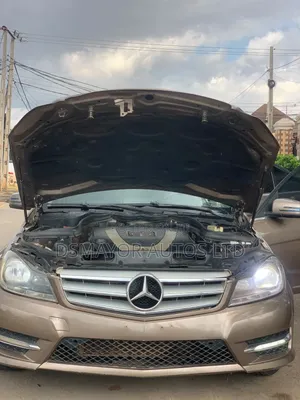 Mercedes-Benz C300 2009 Grey