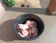 Day Old Chicks & Fully Grown Chickens for Sale - 2