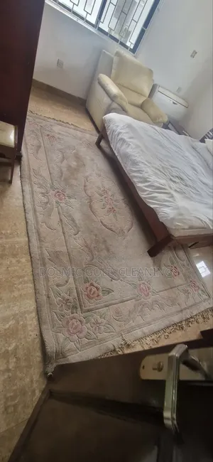Professional Carpet and Rug Cleaning Services