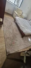 Professional Carpet and Rug Cleaning Services - 1