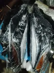 Toyota Corolla 2017-2018 XSE/Sport Headlight - 2