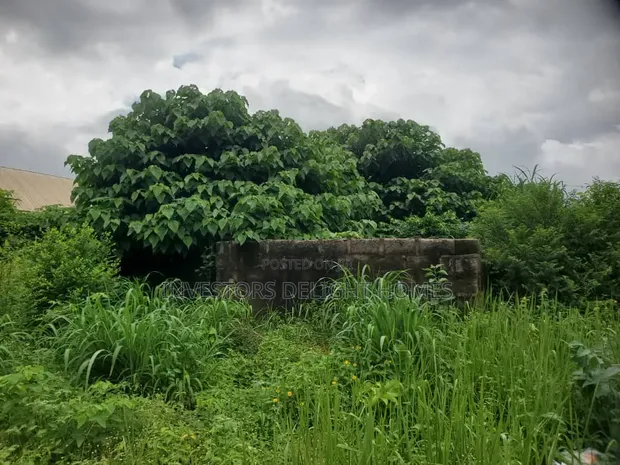 Residential Land for Sale - Fuji, Off Okpanam - 1