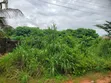 Residential Land for Sale - Fuji, Off Okpanam - 2