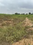 500sqm Residential Land for 5-Bedroom Duplex in Karsana, Abuja - 5