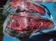 Toyota RAV4 2017-2018 Tail Light - 2