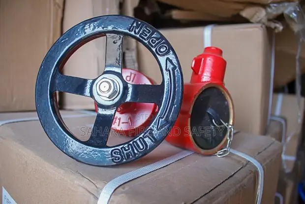 Landing Valve for Fire Fighters - 1