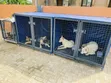 Giant Collapsible Metal Dog Cage - 1