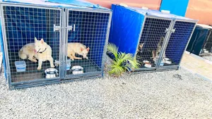 Giant Collapsible Metal Dog Cage