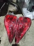 Taillights na Toyota Corolla 2017-2018 (Sabon Juji) - 2
