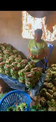 Obiutodiya Asalin Aju Mbaise - 3
