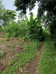 Residential Plots for Sale in Moniya, Ibadan - 3